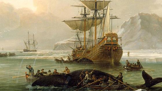 De walvisvaart door de eeuwen heen