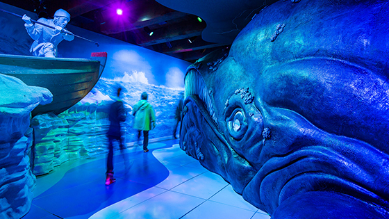 Theatervoorstelling WALvis (3+)