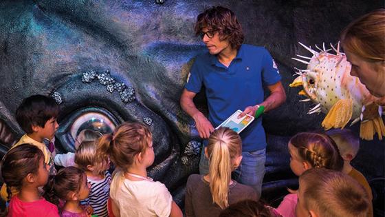 Kleuterprogramma 'He, dikke walvis (3 - 6 jaar)!'