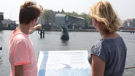 Walvis gespot in het Oosterdok