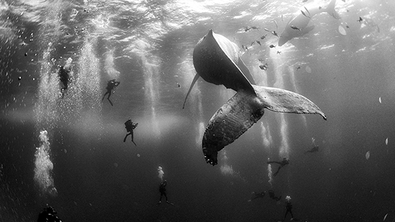 World Press Photo in Het Scheepvaartmuseum