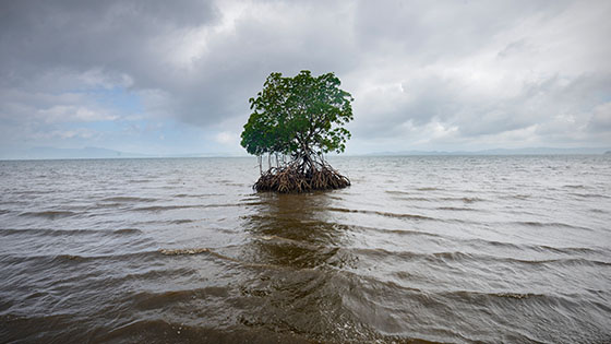 hoe hoog komt het water straks?