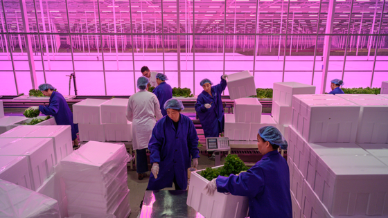 'Food for Thought' verlengd tot en met 5 januari 2025