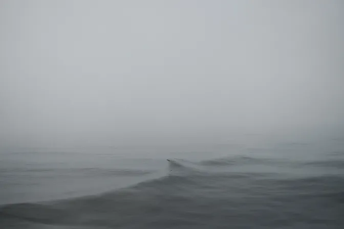 Stephan Vanfleteren - Transcripts of a Sea