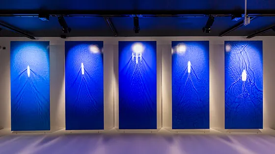 Fixed Flow | Sjoerd Knibbeler