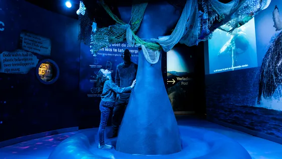 Het Verhaal van de Walvis