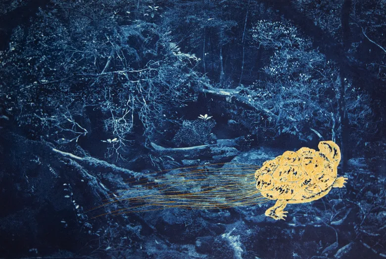 Ets, Kami in het woud, 2025, Anaïs López