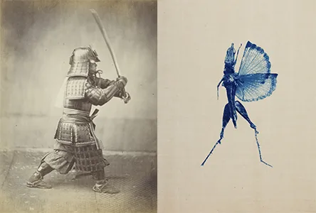 Portretfoto van de Japanse krijger Shigeaki Kubota, 1864 Felice Beato