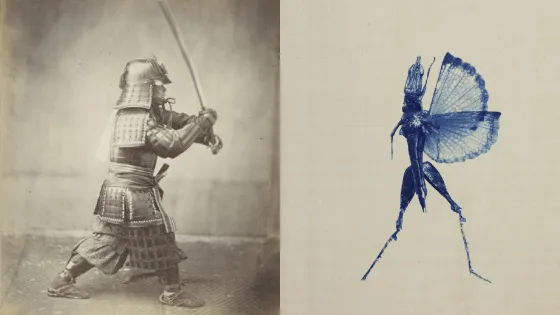 Ekō – Japan bekijk je in twee beeldverhalen