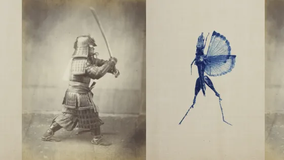 Ekō – Japan in twee beeldverhalen