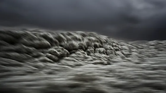 SPEEDTOURS Transcripts of a Sea
