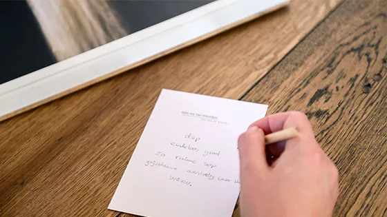 Schrijf zelf een elfje